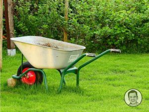 gardening_tasks